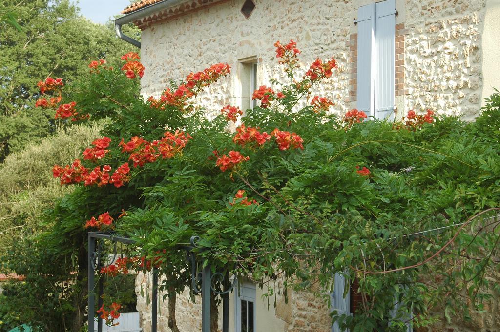 Vila Domaine De Cimelia Fauch Exteriér fotografie